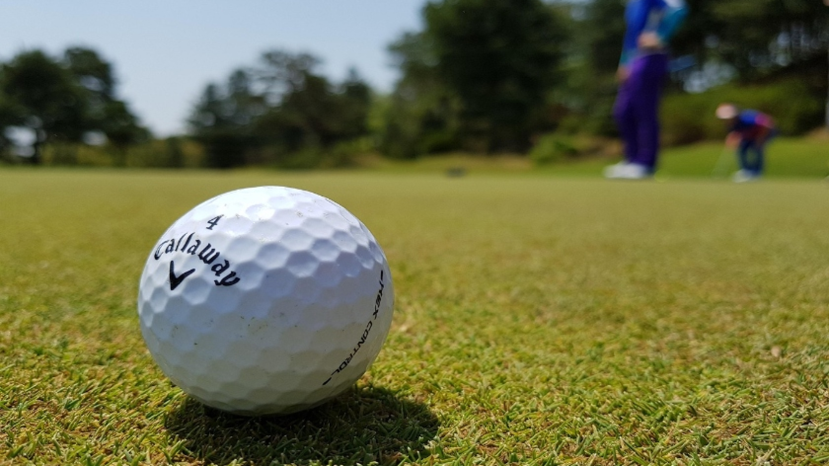 bola-golf